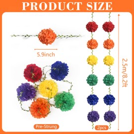 Rainbow Party Decorations Colorful Tissue Paper Flowers Pom Pom with Leaf Ribbon Hanging Garland Streamer for Multi-color Birthday Baby Shower Wedding Carnival Clown Fiesta Festival Party Supplies