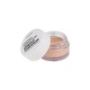 Collection Cosmetics Lasting Perfection Stretch Concealer, High Coverage and Versatile,