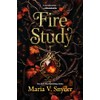 Fire Study: A Novel