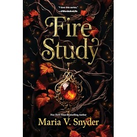 Fire Study: A Novel