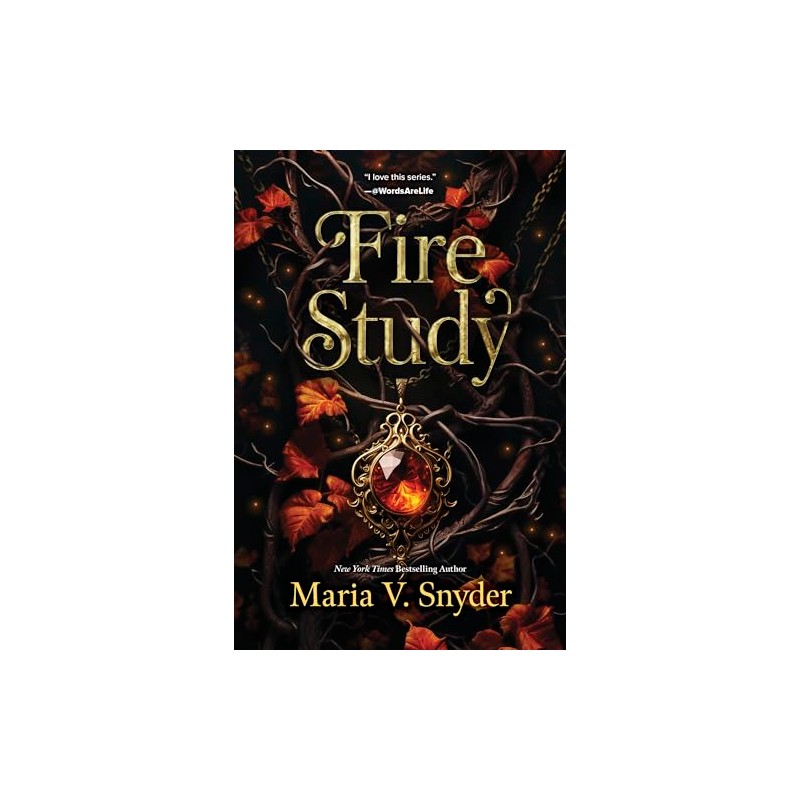Fire Study: A Novel