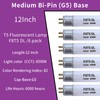 Accway (6 pack) F8T5/DL 6500K 12’’ Linear Fluorescent Light Bulb,