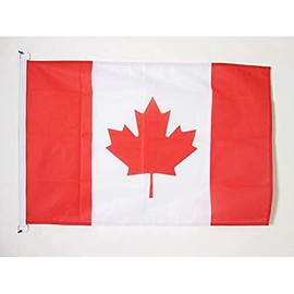 AZ FLAG Canada Flag 2' x 3' for Outdoor - Canadian Flags 90 x 60 cm - Banner 2x3 ft Knitted Polyester with Rings