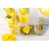 Smartfruit Aloha Pineapple + Prebiotic, 100% Real Fruit Purée, Non-GMO,