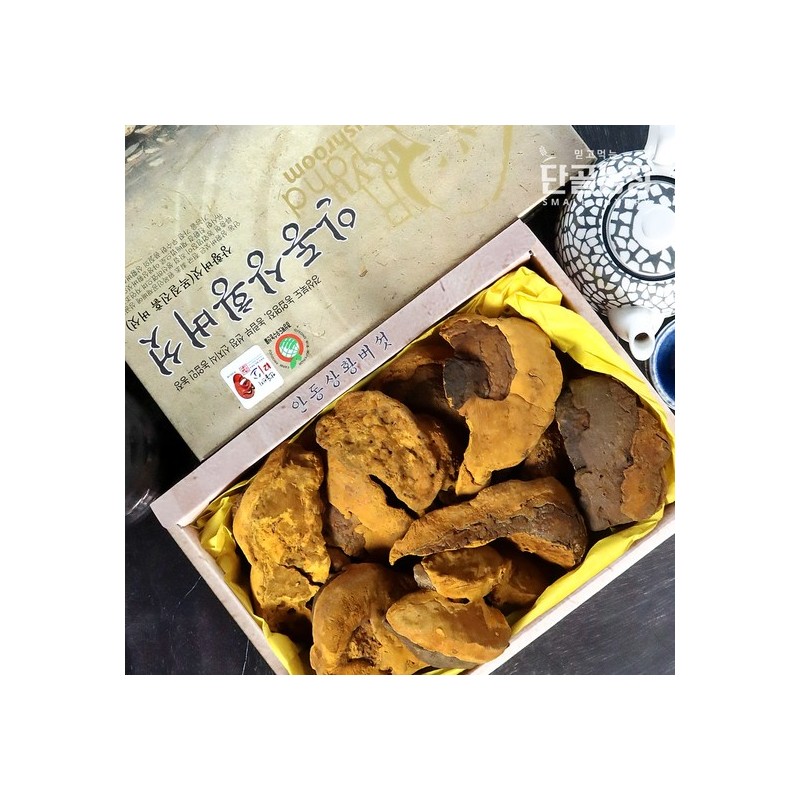 Fresh Day Ryu Chung-hyun Mushroom Master Sanghwang Mushroom Gift Set