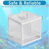 Fish Breeding Box, Small Fry Hatchery Isolation Box, Isolation Fish