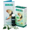 EcoColors Haircolor Warm Auburn - 6RO(2 oz color 2 oz