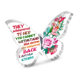 Inspirational Decoration Boss Lady Gifts Cheer Up Gifts For Women i Am The Storm Girl Power Desk Décor For Home Office Bedroom Girlfriend Christmas Gifts Butterfly Acrylic Sign