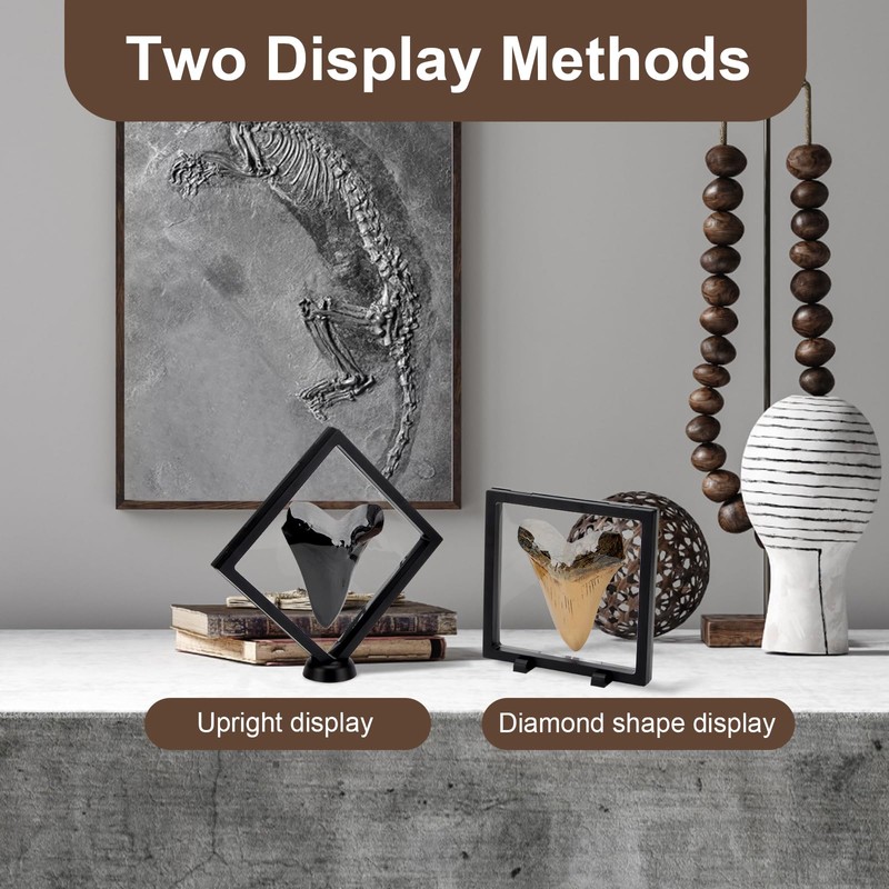Kcgani 2 Pack 5.5 Inch Shark Tooth Holder Floating Frame