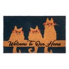 Notrax Welcome Cats, Vinyl-Backed Natural Coir Doormat, Entry Mat for