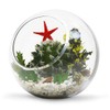 WGV 6" Clear Glass Vase Slant Cut Tilted Bubble Bowl,