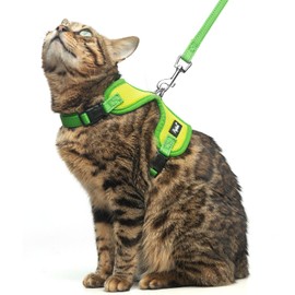 PUPTECK Cat Harness and Leash Set Escape Proof, Reflective Adjustable Soft Mesh Kitten Vest Harness for Walking Travel, Green, S