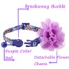 BoomBone Floral Cat Collar with Removable Purple Flower Charm,Breakaway Small