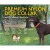 Country Brook Petz Premium Nylon Dog Collar with Metal Buckle