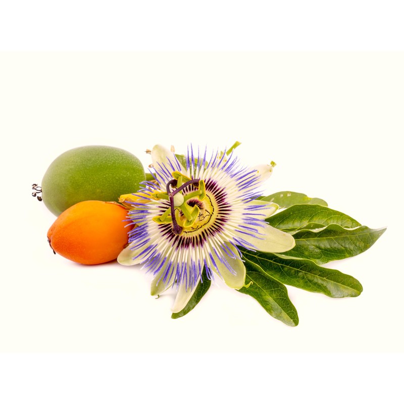 Seeds Yellow Passion Fruit 10+ Seeds to Grow Exotic Plant
