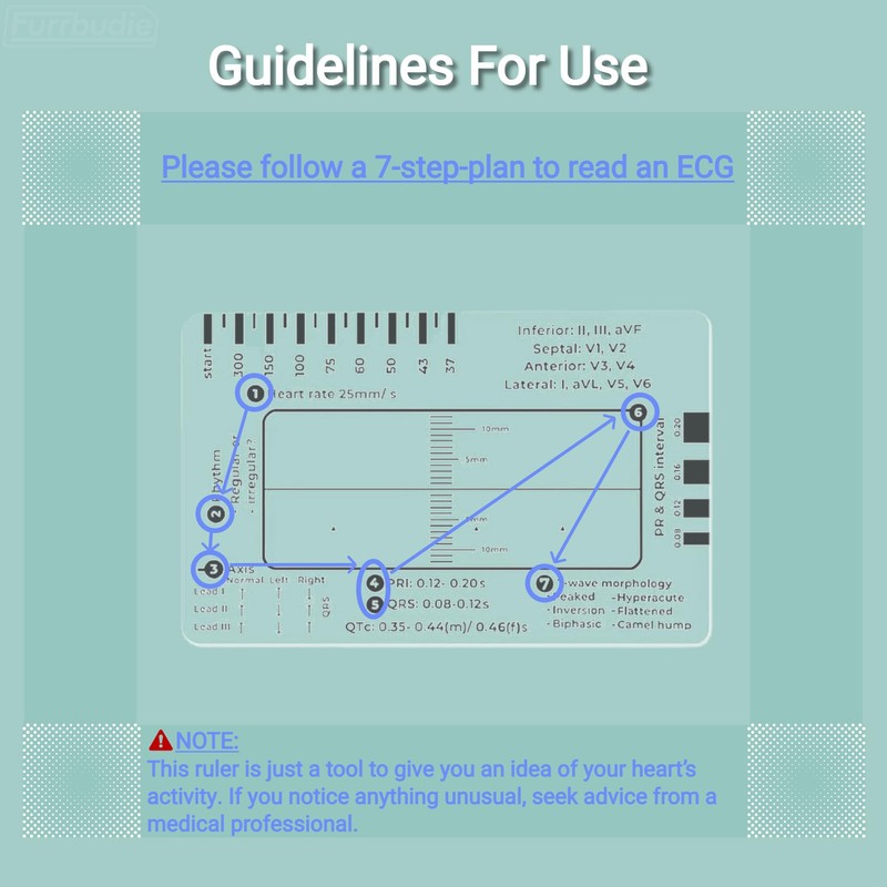 ECG 7 Step Ruler 2pcs ECG Ruler Plastic Ruler Measuring