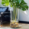 FANTIAN 20 lbs River Rocks for Plants, 1-2 Inch Decorative
