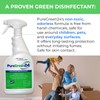 PURE GREEN 24 Safe & Effective Disinfectant. Kills Deadly Germs