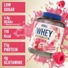 Applied Nutrition Critical Whey Professional Protein Powder