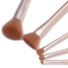 Franfranc Perrule Makeup Brush Set (Set of 5)