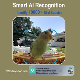 IMOCAM Smart Wooden Bird Feeder with Camera-Solar Power,Bird AI Identifier,1080p HD,5200mAh Battery,3.5L Extra Large,Twin Seed Bins