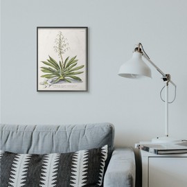 Stupell Industries Botanical Plant Illustration Ferns Vintage Black Framed Wall Art, 16 x 20, Design by Artist Unknown