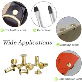 ALLOYGOLD Gold Chicago Screws Leather Rivets Assorted ，8 Sizes of Screw Rivets Chicago Screws for Decorate and Repair Leather Craft Belt Bag Shoes Purse Bookbinding (M5*4,5,6,7,8,9,10,12)