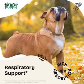 Forever Puppy Licorice Root Tincture for Dogs - Respiratory Health Supplements - Liquid Licorice Root for Dogs - Canine Vitamins and Supplements for Lung Detox & Cleanse - Sugar & Alcohol-Free - 2 oz