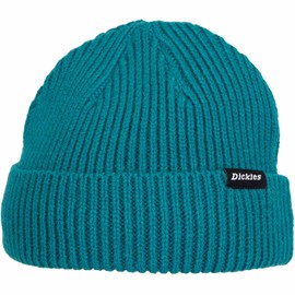 Dickies Woodworth Beanie (DE/NL/SE/PL, Alphanumeric, One Size, Aventurine), Aventurine.