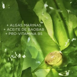Shampoo Equilibrante Pantene Equilibrio Raíz Y Puntas 300 Ml                                                                                          