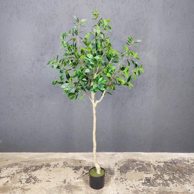 5.5ft Tall Artificial Bay Leaf Tree,Laurus Tree,Bay Tree,Laurel Tree Artificial