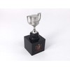 RFEF Copa del Rey Con Pedestal Rey 45 mm