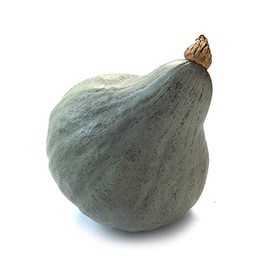 Squash Seeds - Winter - Hubbard Baby Green - 1 Lb ~2,720 Seeds - Cucurbita Maxima - Farm & Garden Vegetable Seeds - Non-GMO, Heirloom, Open Pollinated, Annual