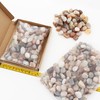 NKlaus 300 g Elegant Moonstone Multicolour 15-25 mm Healing Stones