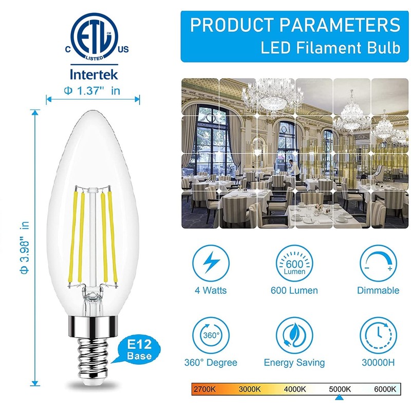Honesorn Candelabra LED Bulb, E12 Small Light Bulbs 5000K Daylight