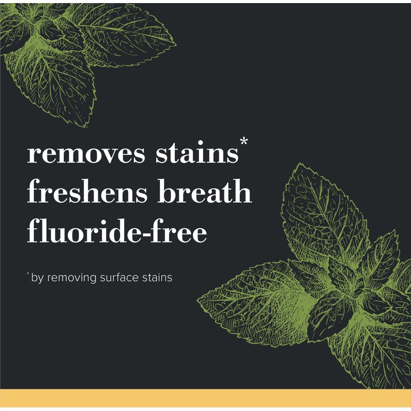 Burt's Bees Toothpaste, Natural Flavor, Charcoal Fluoride-Free Toothpaste, Zen Peppermint,