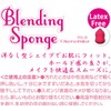 burendyigu Sponge Pear Shape