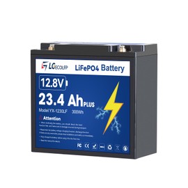 12V 23.4AH (30A BMS) Plus Lifepo4 Lithium Battery With 30A BMS, Lifepo4 Battery 4000+Deep Cycles Perfect for Trolling Motor,Kids Scooters,Power Wheel Chair,Boat,RV,Fish Finder etc