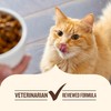 Nutrish Premium Natural Dry Cat Food, Real Chicken & Brown
