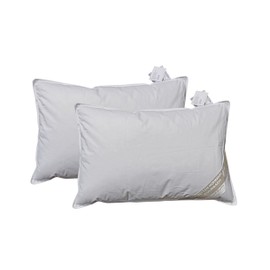 2 x Hofmann's Pillow 40 x 60 cm 150 g Down Pillow 100% New Down Cuddly Pillow Natural Product No Live Plucking Washable