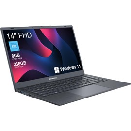 ECOHERO Laptop Computer, 8GB DDR4 RAM/256GB SSD, Intel Celeron Processor, 14 Inch FHD 1920x1080 Display, Win 11 Thin & Portable Notebook PC, 2.4G/5G WiFi and Bluetooth 5.1