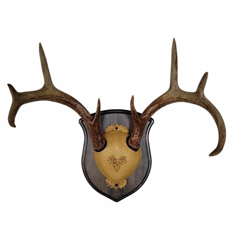 Whitetail Deer Antler Mounting Kit, Solid Wood Plaque, Includes All