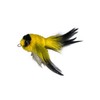 Litterboy Golden Finch Bird Attachment - Works with Popular Wand