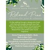 Soap And Paper Factory, Candle Tin Roland Pine 3 Ounce