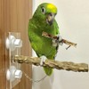 20CM Pet Bird Shower Standing Rod Parrots Outdoor Portable Wood