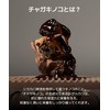 SERUMKIND Chaga Mushroom Brown Serum, 1.0 fl oz (30 ml),