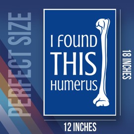 I Found This Humerus Anatomy Joke Poster - Funny Classroom Meme Joke Appropriate School Humor Poster - 12 x 18 Inch Unframed Poster - Premium Poster On 100lb Gloss Paper - Printed In The USA FHJP1752