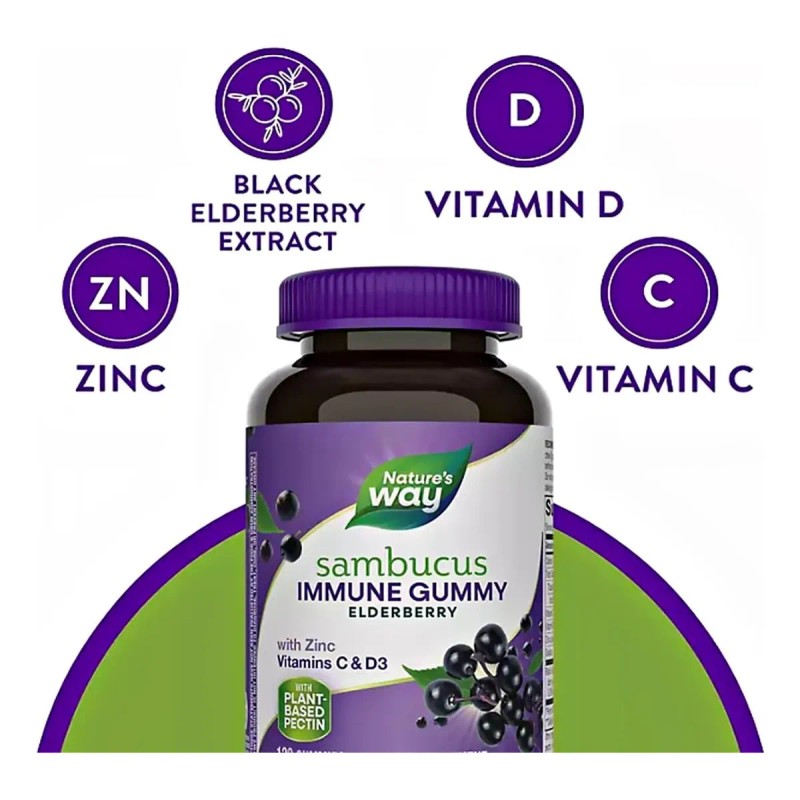 Elderberry 50 Mg Sambucus Soporte Inmune 120 Gomitas Sabor S/n