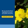 Natural Factors Omega Factors, Ultra Prim Evening Primrose Oil, 500