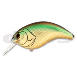 Depth Evoque 3.0 #06 Golden Shiner